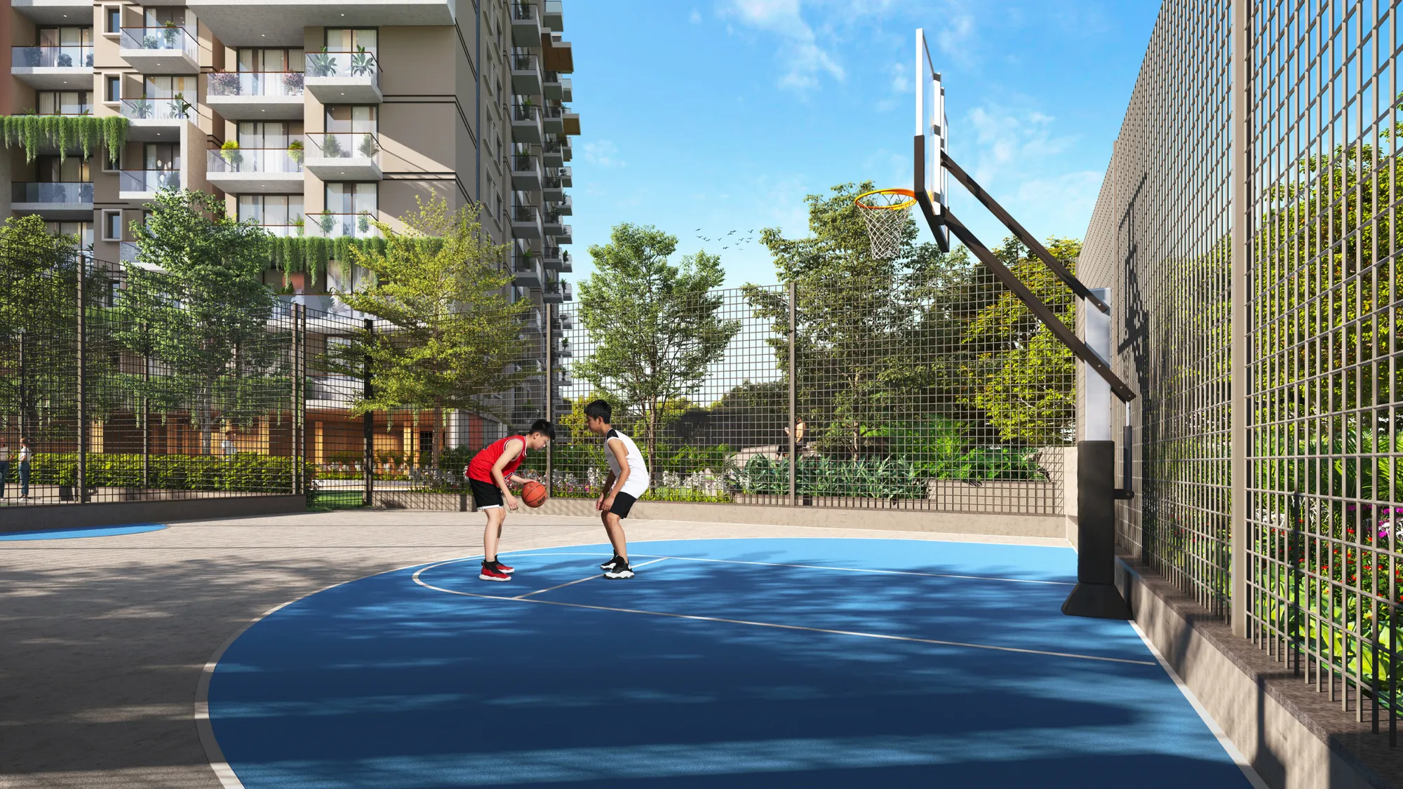 Half Basketball Court